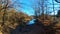 Lakescape view through the wood in autumn