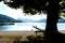 Lakeshore with big tree and boat dock with tourists and mountains in the background