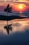 Lakeshore Sunset Silhouette at Lake Superior