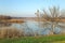 Lakeside autumn landscape