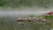 Lakeside with brown stones and red boat by calm water