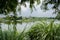 Lakeside buildings in plants and trees of cloudy summer