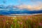 Lakeside flowers and cloudscape