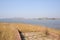 Lakeside fox-tails with city in distance on sunny winter day