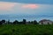 Lakeside living summer scenery in Italy at blue hour