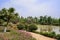 Lakeside path in flowers at sunny summer noon