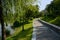 Lakeside path in plants and trees at city in sunny summer morning