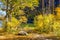 Lakeside Picnic Table among Autumnal Trees