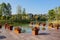 Lakeside planked jetty in sunny winter afternoon