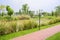 Lakeside red-painted path in sunny spring