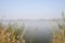 Lakeside reeds with city in distance on sunny winter day