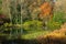 Lakeside reflections set against an autumnal woodland setting