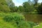 A lakeside scene in the Kent countryside