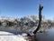 Lakeside scene in winter with a tree stump partially covered in snow