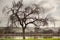 Lakeside tree and a bench in Winter.