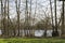 Lakeside Trees View In Height Of Winter Without A Single Leaf