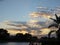 Lakeside view of palm trees and orange fiery sunset