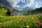 Lakeside Wildflowers in Alpine Summer Landscape