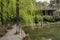 Lakeside willows in spring breeze,Chengdu,China