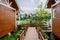 Lakeside wooden cabins at sunny summer noon