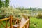 Lakeside wooden footbridge in sunny spring