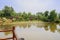 Lakeside wooden handrail of viewing platform in sunny flowering