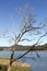 Lakr Baroon Reservoir