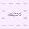 lakre herring icon. Fish icons universal set for web and mobile