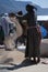 Lalibela, Wollo, Ethiopia, circa February 2007: Woman threshing teff