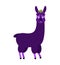 Lama Alpaca Eggplant. Purple animal. Vector illustration