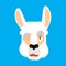 Lama Alpaca winking face avatar. Animal happy emoji. Vector illustration