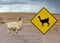 Lama crossing traffic sign, Altiplano, Bolivia