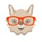 Lama face in glasses vector illustration flat style