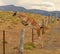 Lama guanicoe Guanaco alone jumping in Torres Del Paine National Park, Patagonia, Chile