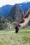 Lama at Machu Picchu ruins