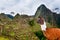 Lama in Machu Picchu , UNESCO World Heritage Site