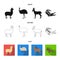 Lama, ostrich emu, young antelope, animal crocodile. Wild animal, bird, reptile set collection icons in black,flat