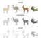 Lama, ostrich emu, young antelope, animal crocodile. Wild animal, bird, reptile set collection icons in cartoon,outline