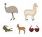 Lama, ostrich emu, young antelope, animal crocodile. Wild animal, bird, reptile set collection icons in cartoon style