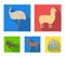 Lama, ostrich emu, young antelope, animal crocodile. Wild animal, bird, reptile set collection icons in flat style