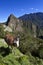 Lama and ruins of the lost Inca city Machu Picchu in Peru - South America