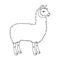 Lama, a South American pack animal. A lame, a cloven-hoofed mammal single icon in outline style vector symbol stock