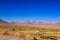 Lama standing in a beautiful South American altiplano landscape