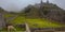 Lamas grazing in Machu Picchu ancient town