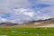 Lamas and sheeps on beautiful altiplano landscape, Uyuni, Bolivia