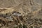 Lamayuru buddhist monastery in Ladakh , India.