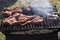 Lamb chops, kabobs and Tomatoes on a charcoal grill