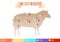 Lamb cuts infographic. Vector silhouette of a sheep with markers