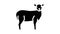 lamb domestic farm animal glyph icon animation