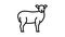lamb domestic farm animal line icon animation
